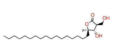 Amphiasterin B5